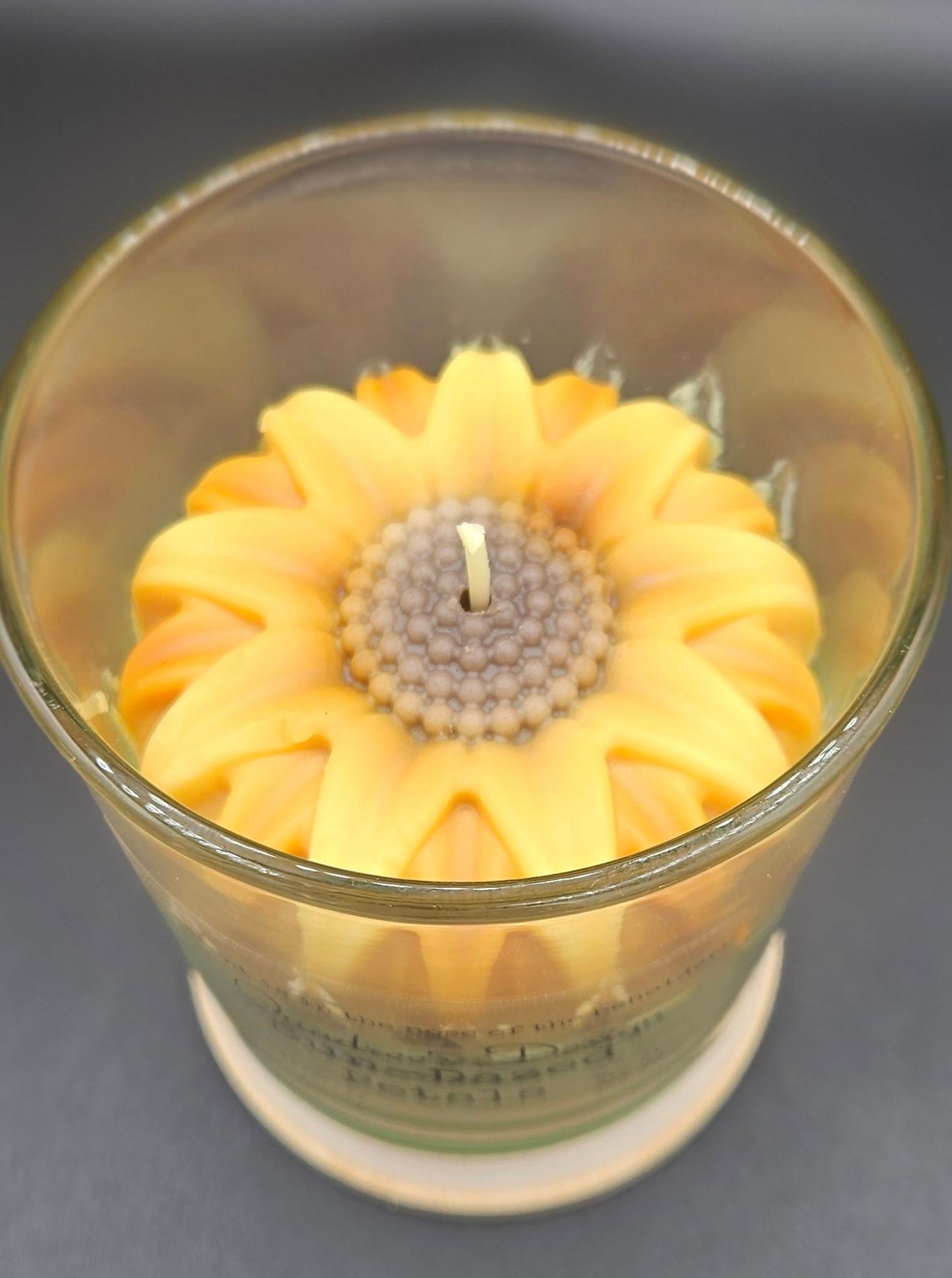 Sun-Dazed Petals